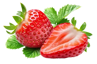 Immagine senza descrizione